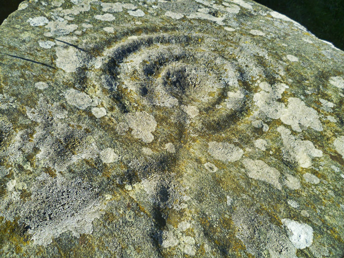 Drumtroddan Cup and Ring Stones