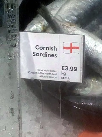 Waitrose Sardine