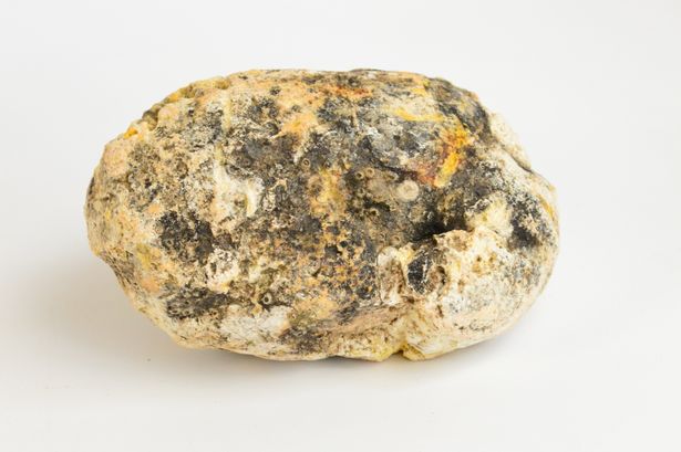 ambergris