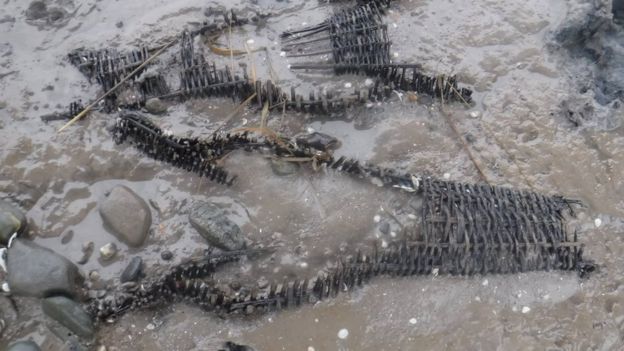 Ancient fishing baskets. Image from BBC Wales