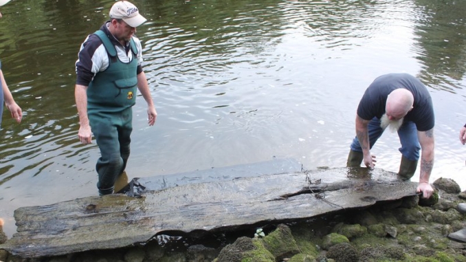 Anglers William Gregory and Stephen Murphy lift the logboat onto the river bank. Picture from RTE