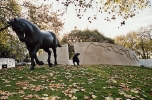 Animals in War Memorial