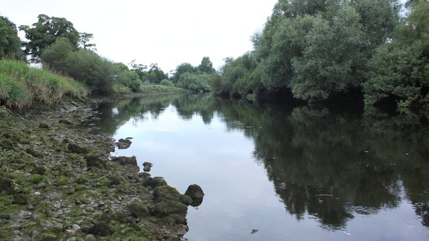 Area of River Boyne where logboat discovered