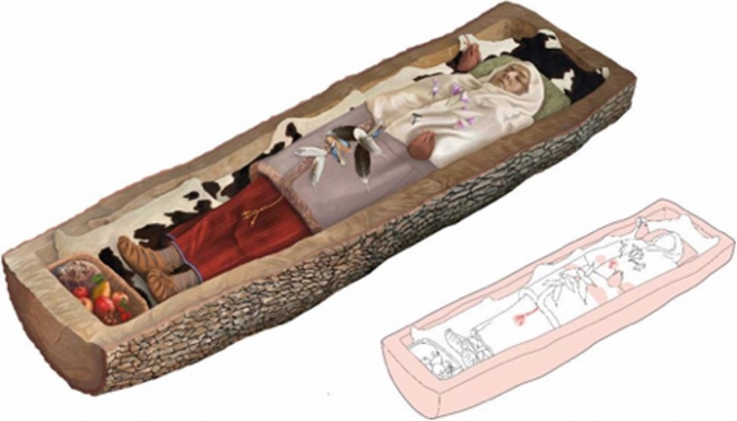 Artist's impression of the woman in her coffin made out of a hollowed tree trunk by Zurich archaeology department