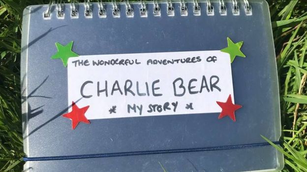Charlie's book of adventures. Picture from Electric Fields