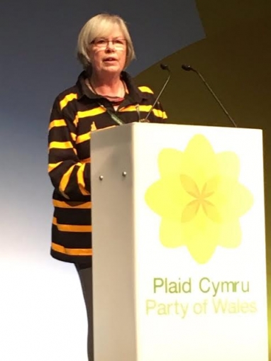 Cornish language Plaid