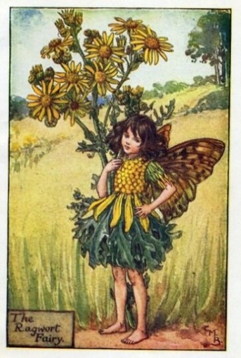 Cushag Fairy. Print of The Ragwort Fairy by Cicely Mary Barker