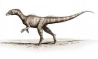 Dracoraptor hanigani