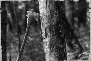 Axe in tree