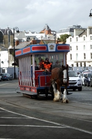 Horse drawn tram in Isle of Man