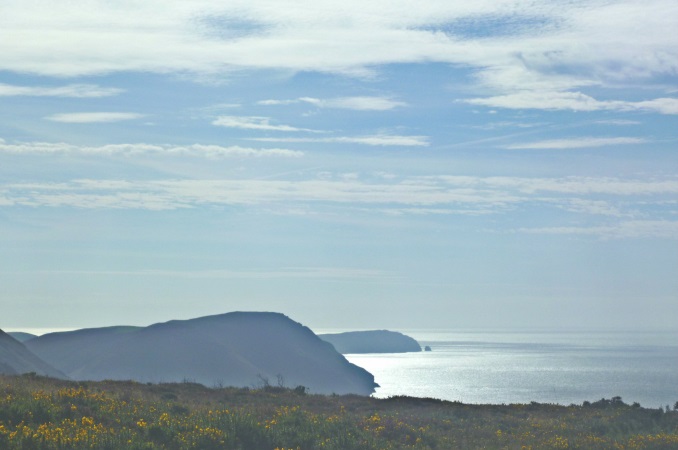 Manx coast