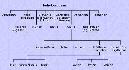 Celtic Language