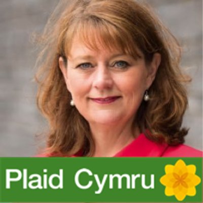 Leanne Wood Plaid Cymru leader