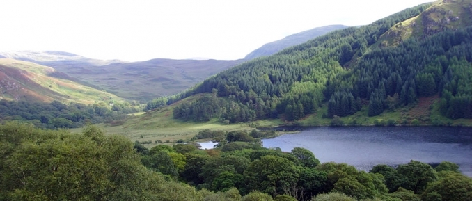 Loch Trool image from Cree Valley Community Woodlands Trust