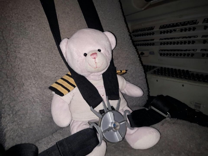 Lost teddy on the way home picture from Loganair