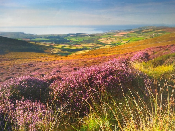 Manx landscape