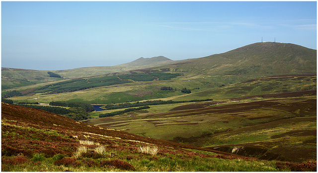 Manx Upland