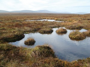 Mountain blanket bog picture from Irish Peatland Conservation Council
