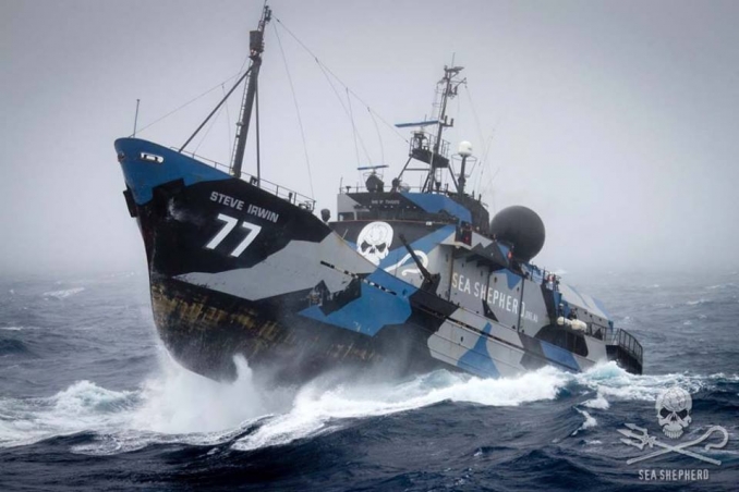 One of Sea Shepherds fleet of vessels rides out a storm protecting our seas.