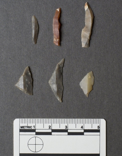 Stone tools among the finds courtesy of Upper Dee Tributaries Project