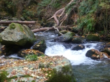 Ballaglass Glen - Glion Valley Glass