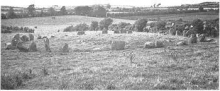 The Ballynoe Stone Circle photograph A.E. Van Giffen