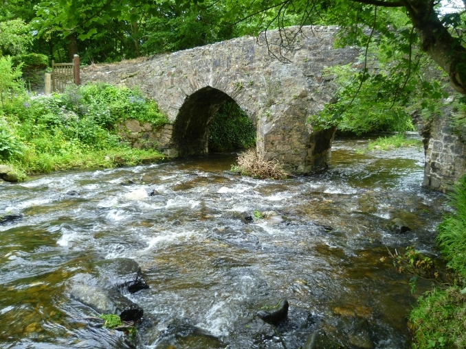 Silverdale Glen - Glion yn Awin Argid