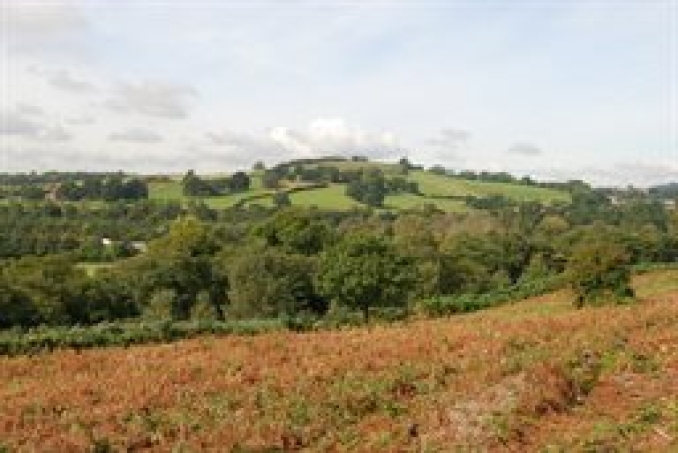 Gaer Fort image courtesy of Newport County Council