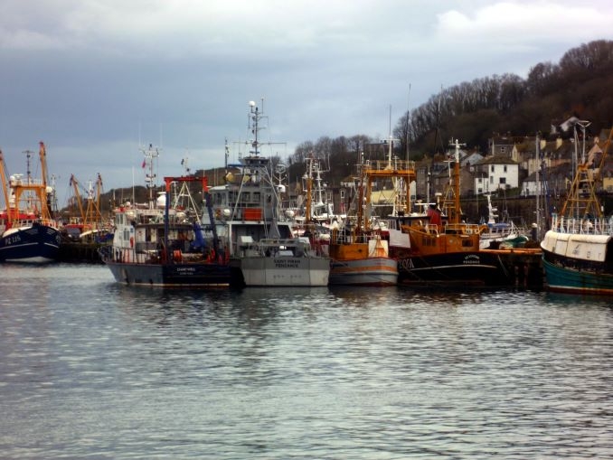 Newlyn - Lulynn