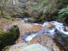 Ballaglass Glen - Glion Valley Glass