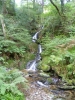 Dhoon Glen - Glion y Dowin