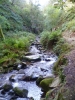 Dhoon Glen - Glion y Dowin