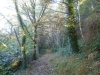 Elfin Glen - Glion Valley Cowle
