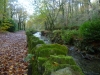 Laxey Glen - Glion Laksaa