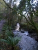 Laxey Glen - Glion Laksaa