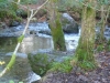 Laxey Glen - Glion Laksaa