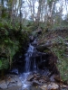 Laxey Glen - Glion Laksaa