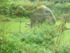 Balbirnie Stone Circle 14