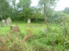 Balbirnie Stone Circle 5