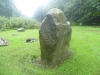 Balbirnie Stone Circle 9