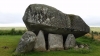 Brownshill Portal Tomb - Tuama Ursanach Chnoc an Bhrúnaigh 1