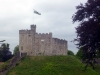 Cardiff Castle - Castell Caerdydd