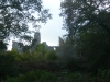 Dinefwr Castle - Castell Dinefwr