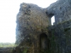 Dinefwr Castle - Castell Dinefwr