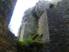 Dinefwr Castle - Castell Dinefwr