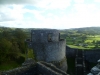 Dinefwr Castle - Castell Dinefwr