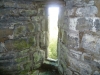 Dinefwr Castle - Castell Dinefwr