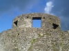 Dinefwr Castle - Castell Dinefwr