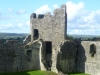 Dinefwr Castle - Castell Dinefwr