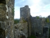 Dinefwr Castle - Castell Dinefwr